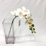 Generico-Shop-Fiori e Piante-Fiori Artificiali-Mini Phalenopsis H 65 cm Bianco Fiore Real Touch-100