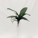 Generico-Shop-Fiori e Piante-Fiori Artificiali-Foglia Phalenopsis x 5 verde-1