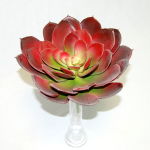 Generico-Shop-Generico-Fiori Artificiali-Echeveria Plant Ø 22 cm-7