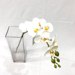 Generico-Shop-Fiori e Piante-Fiori Artificiali-Mini Phalenopsis H 65 cm Bianco Fiore Real Touch-1