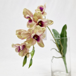 Generico-Shop-Fiori e Piante-Fiori Artificiali-Orchidea Singapore-5