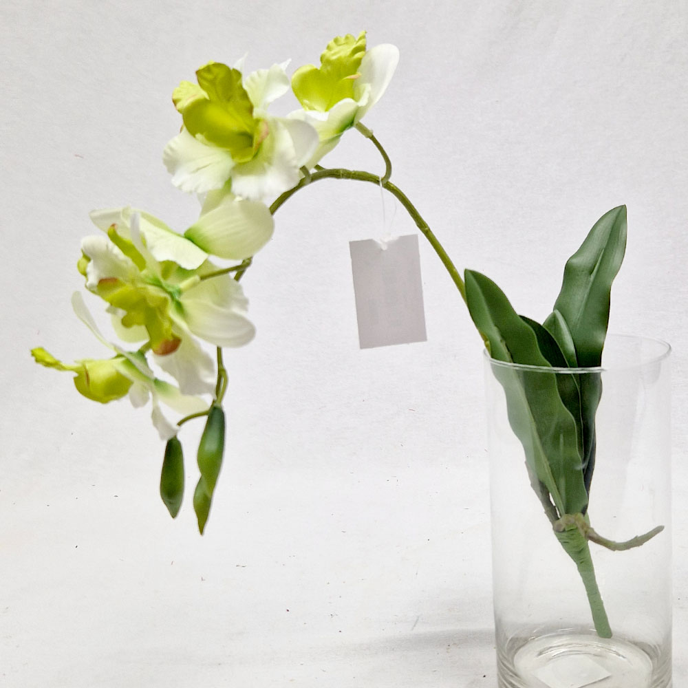 Generico-Shop-Fiori e Piante-Fiori Artificiali-Orchidea Singapore-1