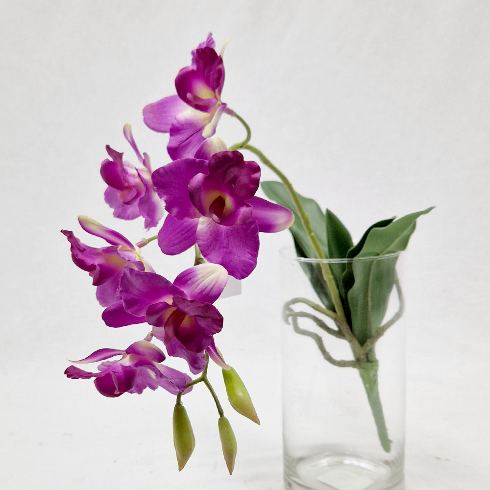 Generico-Shop-Fiori e Piante-Fiori Artificiali-Orchidea Singapore-2